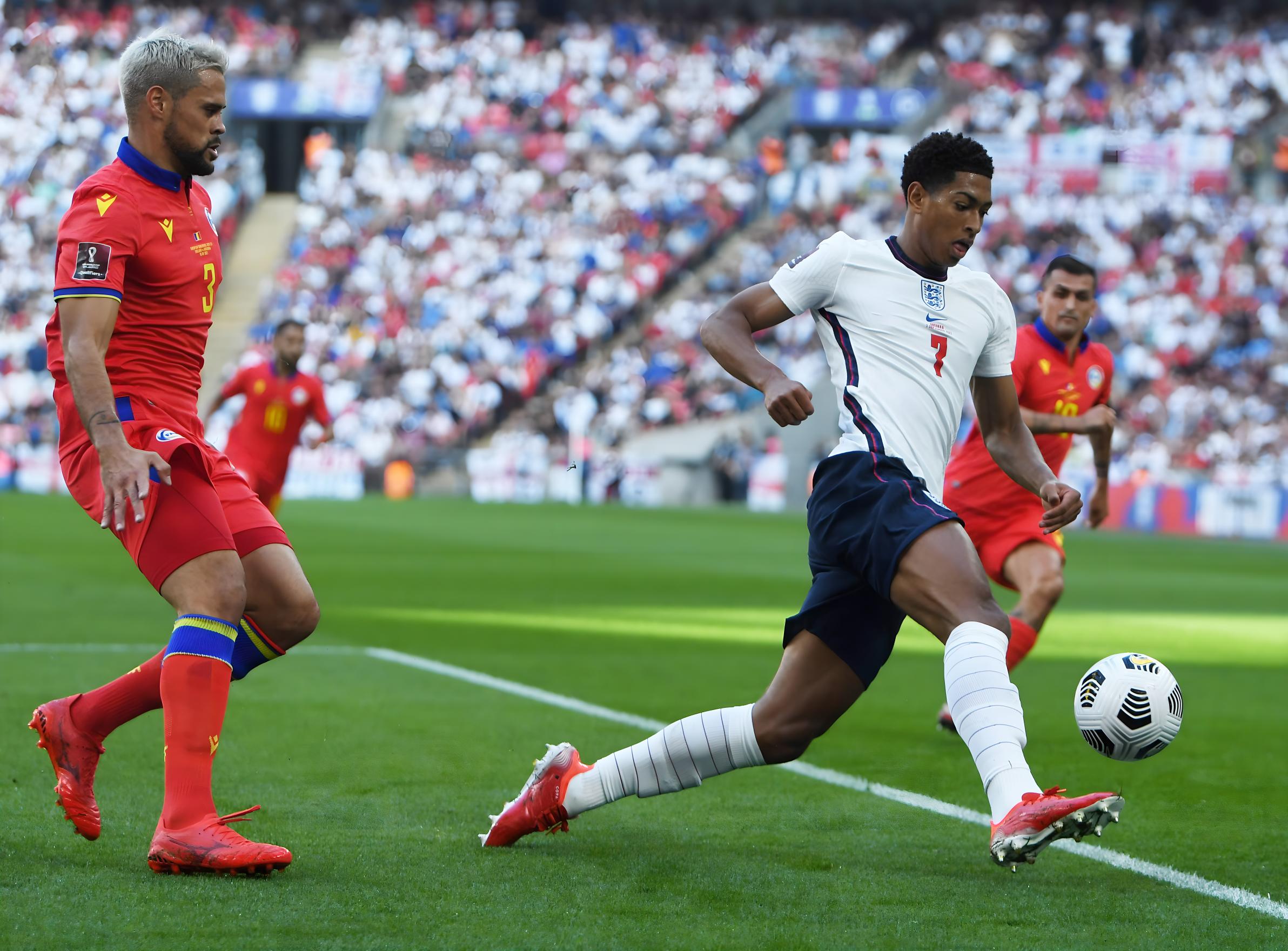 更是着力打 更是着力打