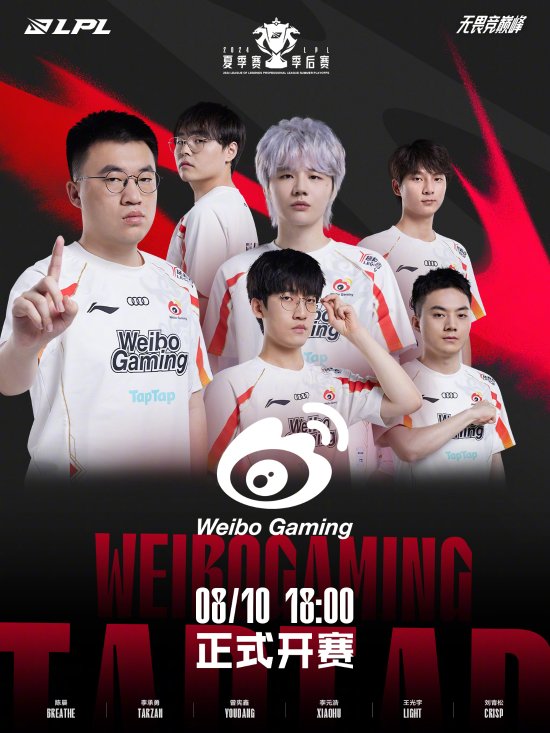 球队的整体 球队的整体