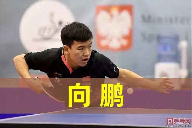 文雁行 文雁行